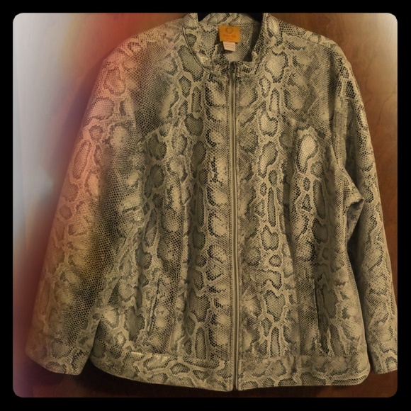 Ruby Rd. Snake Print Jacket - Picture 1 of 4